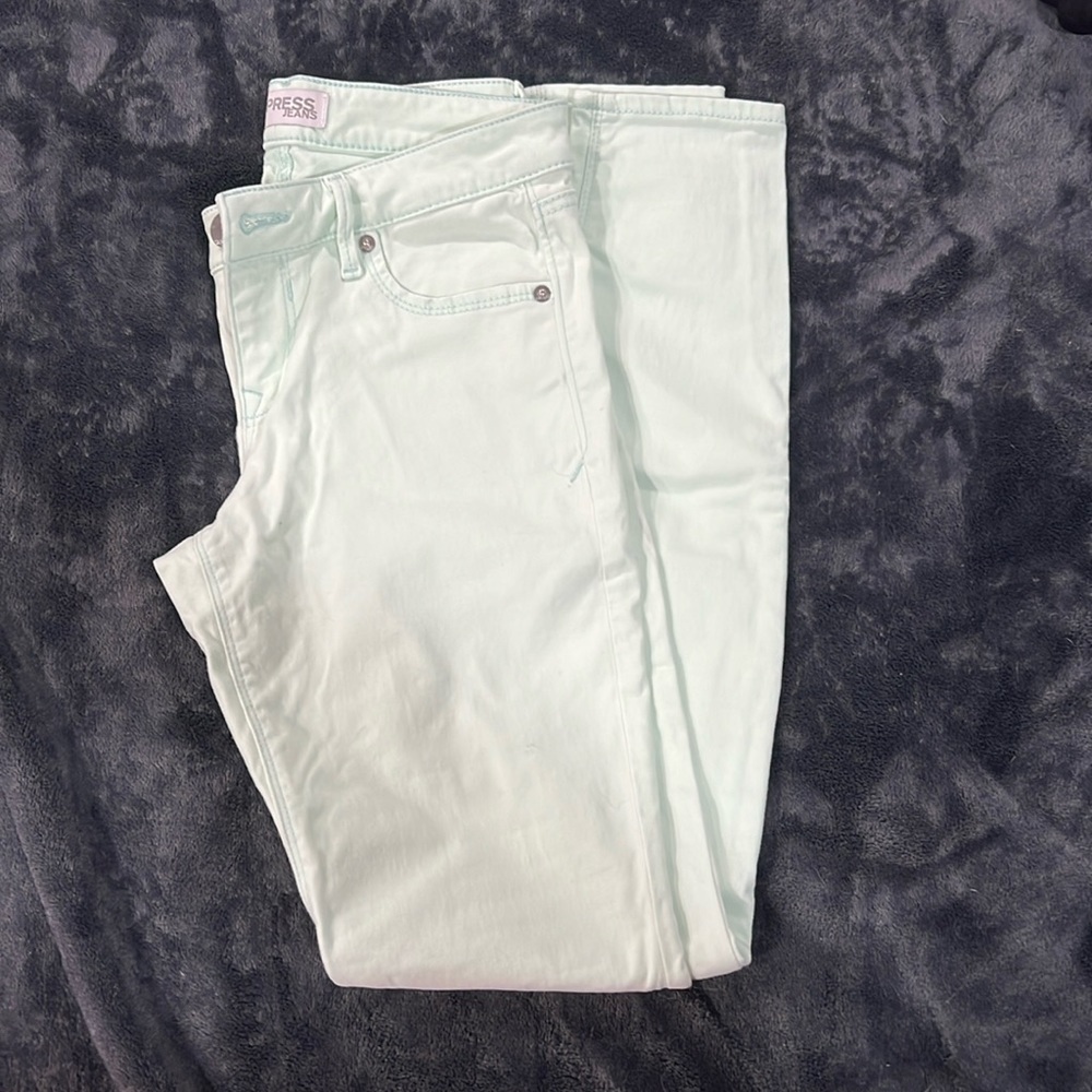 [Express] Vintage Mint Pants